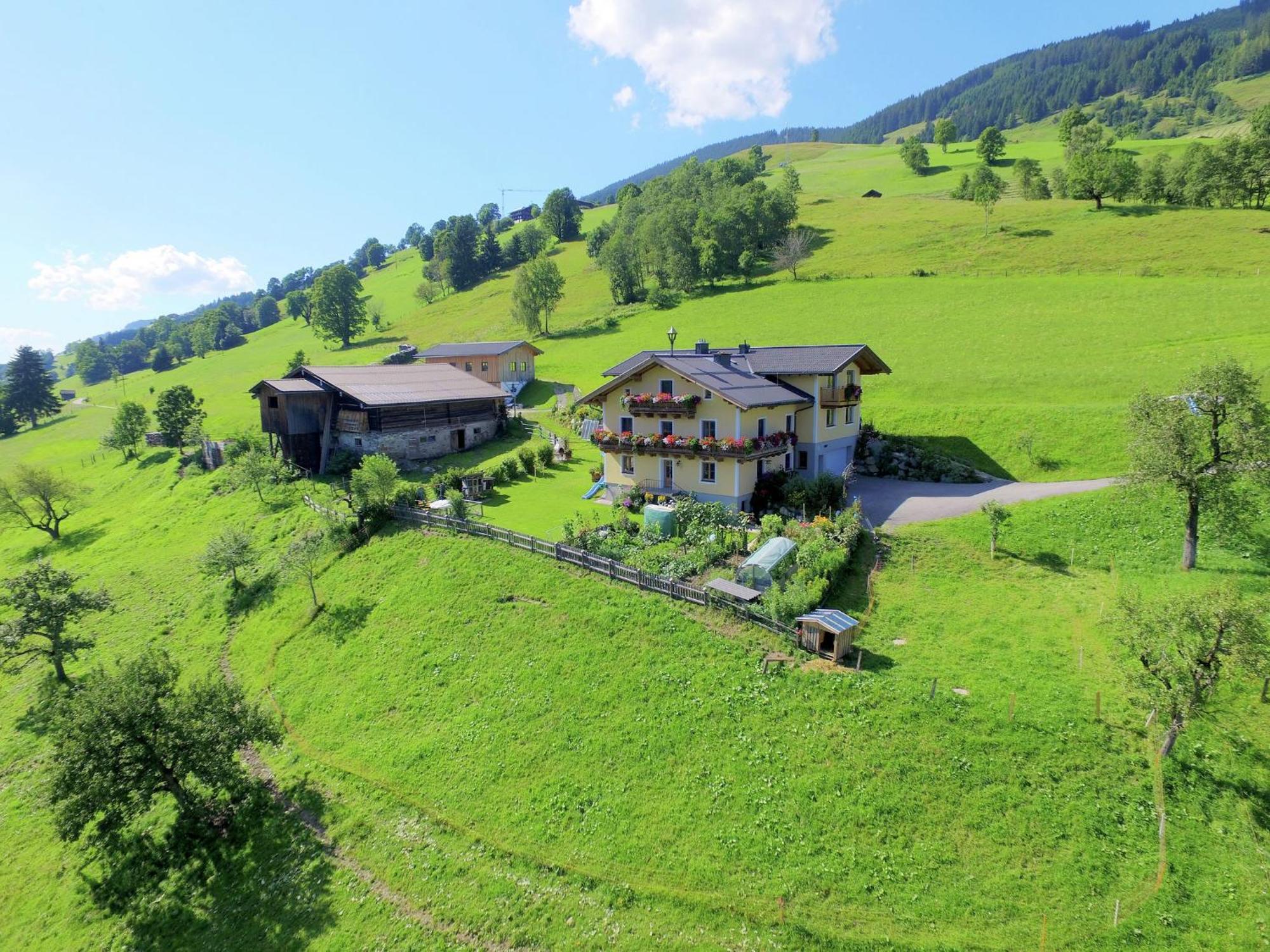 Cosy Holiday Flat In A Farmhouse Taxenbach Dış mekan fotoğraf